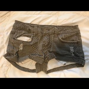 Vanilla Star shorts